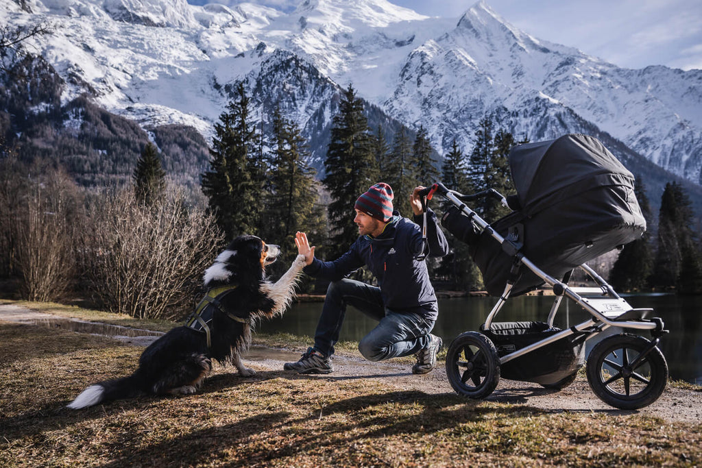 Mountain buggy outlet jogger