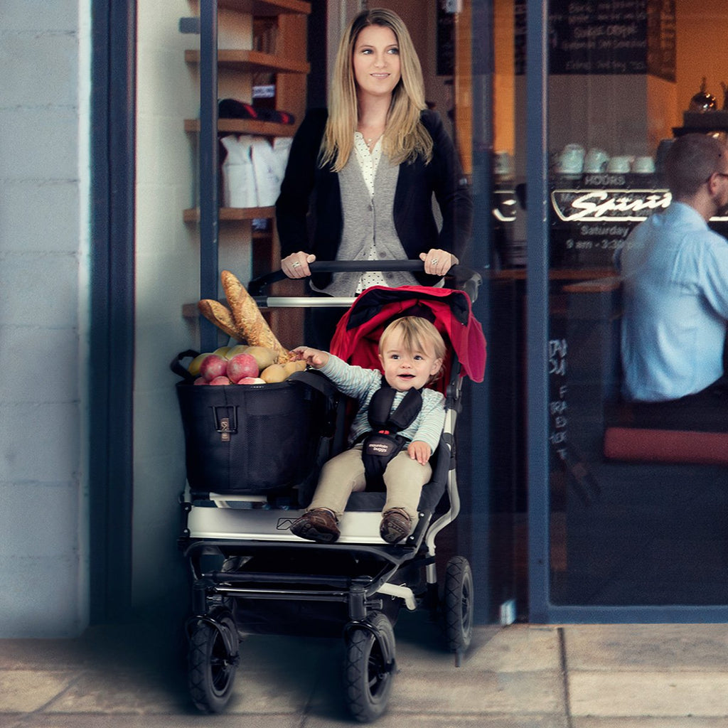 Mountain buggy duet joey bag clearance