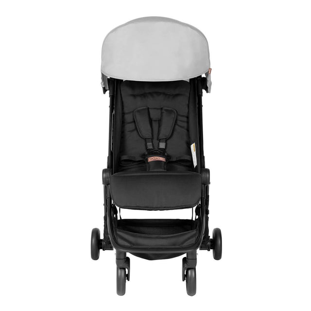 mountain buggy nano  Reisebuggy in der Farbe Silber Front on_silver
